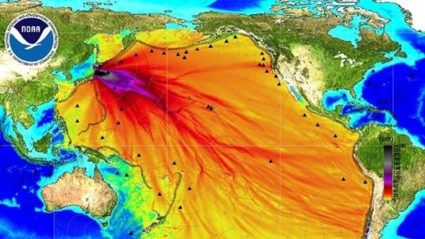 Замалчивание Западом последствий катастрофы на Фукусиме эксперт связал с подходом ТЕРСО